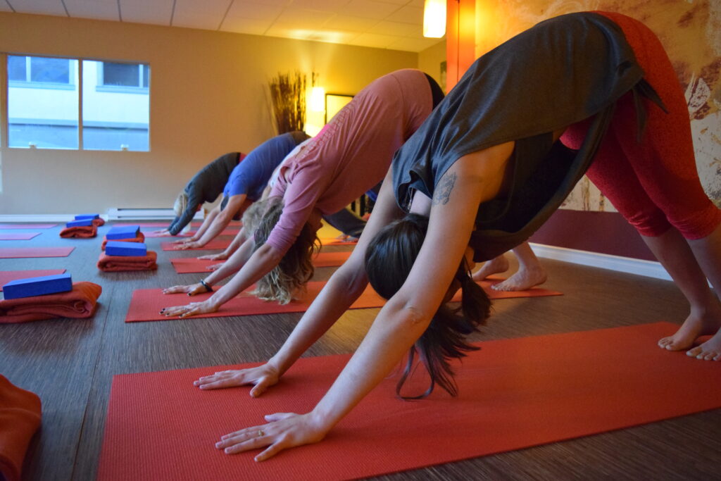 down dog yoga pose