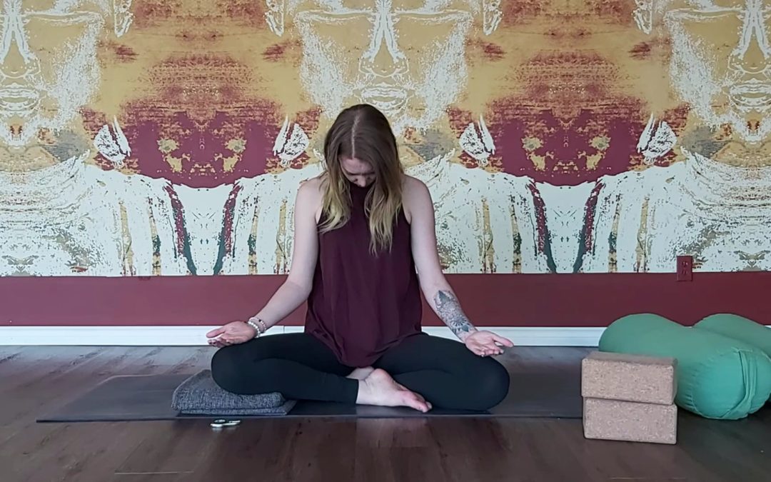 Gentle Hatha + Restorative Yoga with Emily Kane