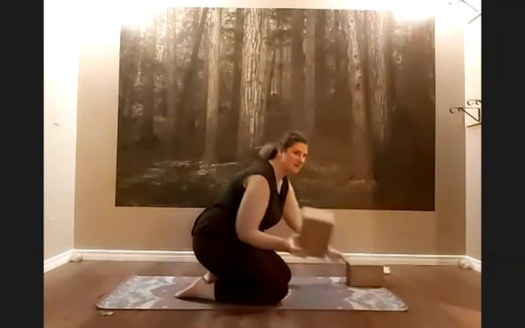 A Hatha Practice for the Autumn Season (Zoom Replay October 26th)