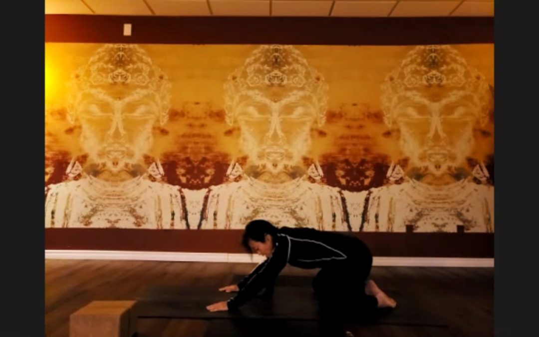 Hatha Yoga for Better Digestion with Fiyang Mah