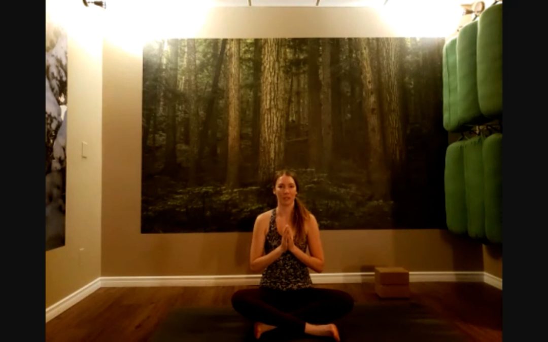 Bend Without Breaking – A Hatha Practice with Emily Kane