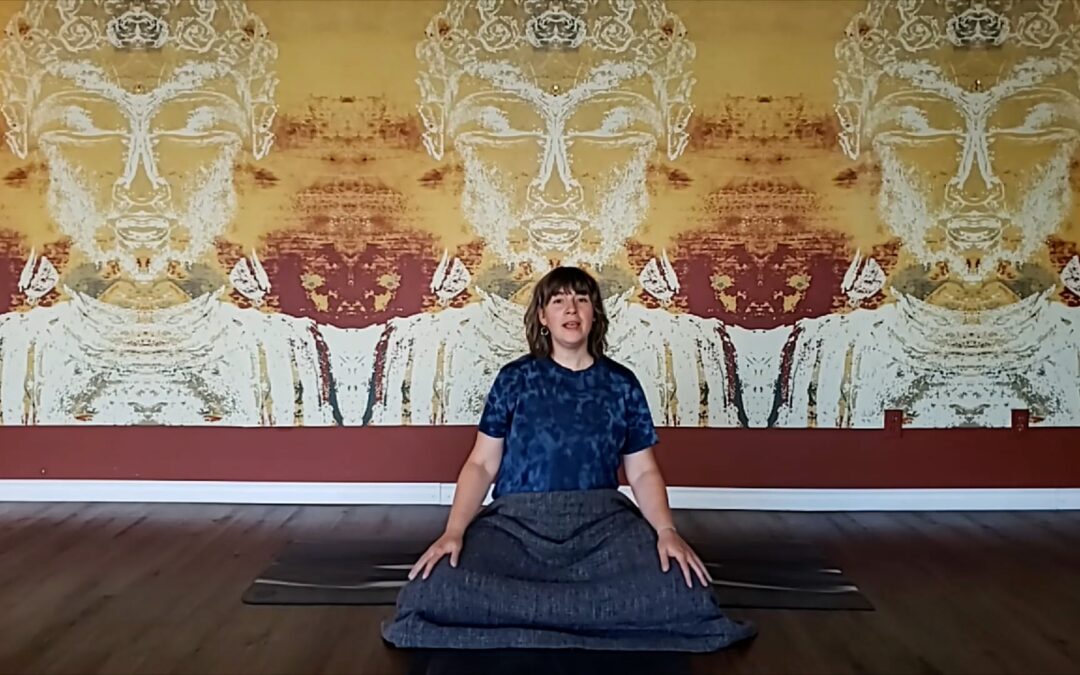 Find Your Roots – Meditation with Heidi Whent (14 minutes)
