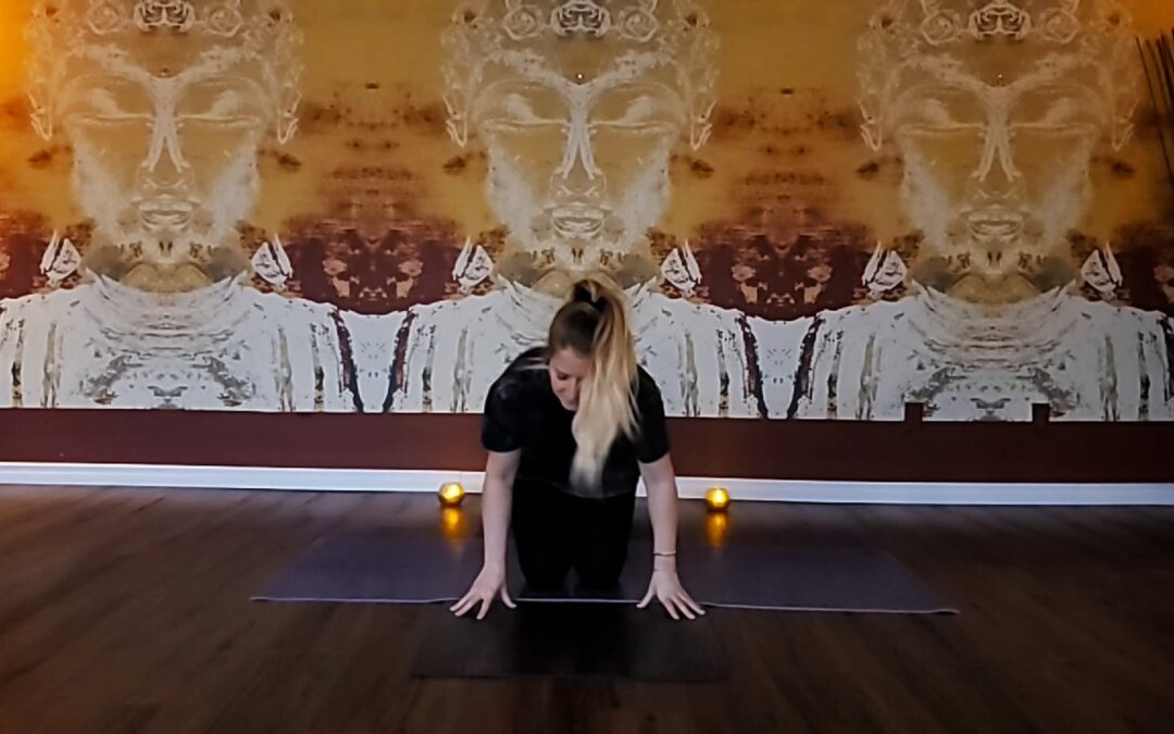 Gentle Hatha for Upper Back and Neck with Hailey Smith