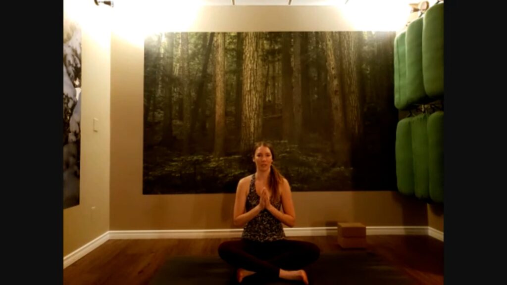 bend without breaking a hatha practice with emily kane vimeo thumbnail